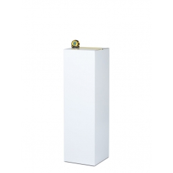 cardboard plinth white