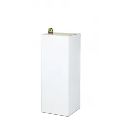 cardboard plinth white