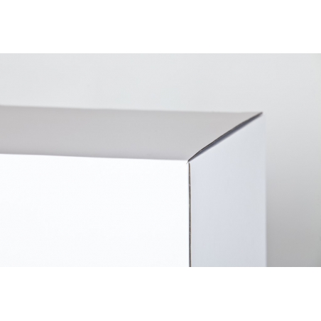 cardboard plinth white
