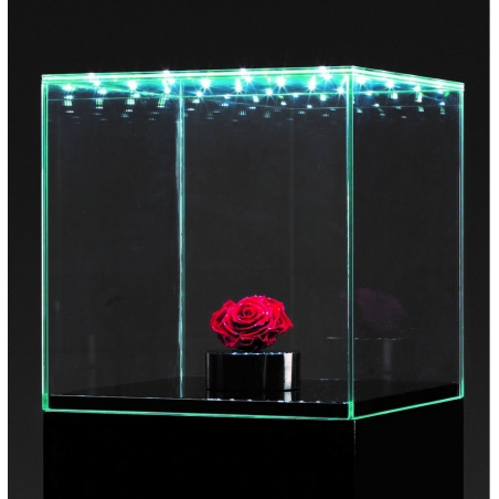 Glass Display Case with Integrated LEDs and a Door