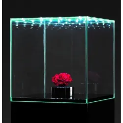 Glass Display Case with Integrated LEDs and a Door