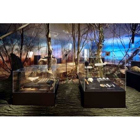 Protective display cover | acrylic showcase | exhibition protection