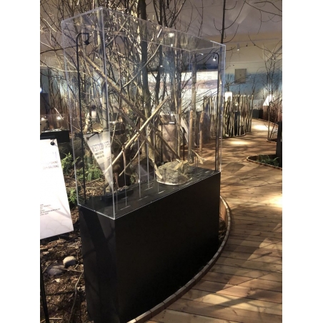 Protective display cover | acrylic showcase | exhibition protection