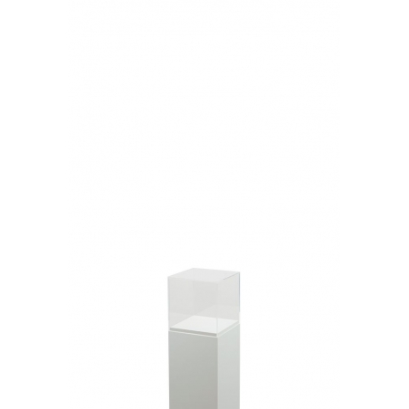 Acrylic Display Case