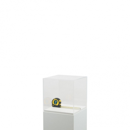 Acrylic Display Case