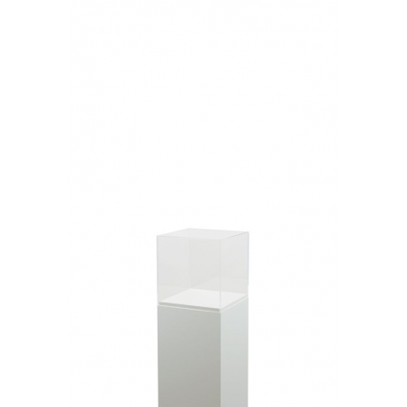Acrylic Display Case