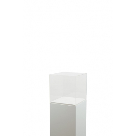 Acrylic Display Case