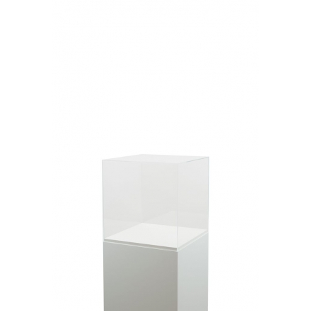 Acrylic Display Case