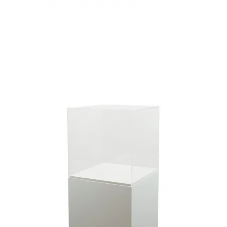 Acrylic Display Case