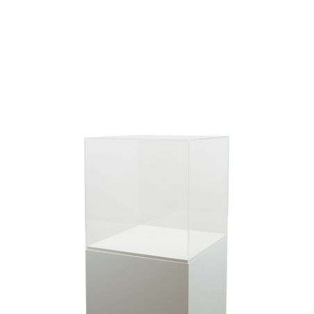 Acrylic Display Case