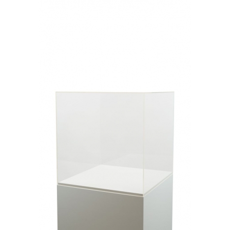 Acrylic Display Case