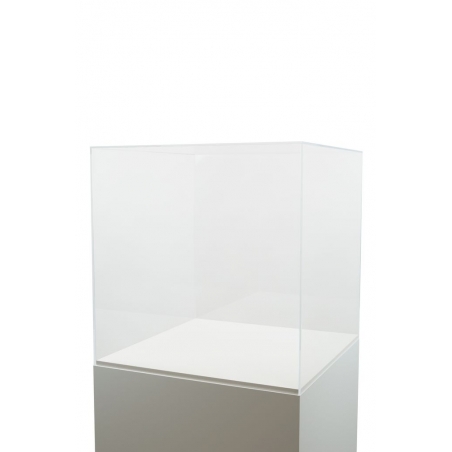 Acrylic Display Case