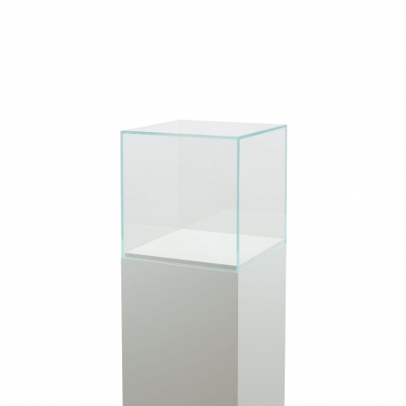 Glass Display Case