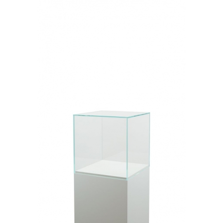 Glass Display Case