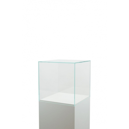 Glass Display Case Glass Display Case