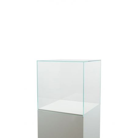 Glass Display Case