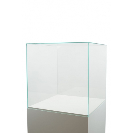Glass Display Case