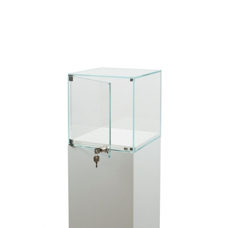 Glass Display Case with a Door