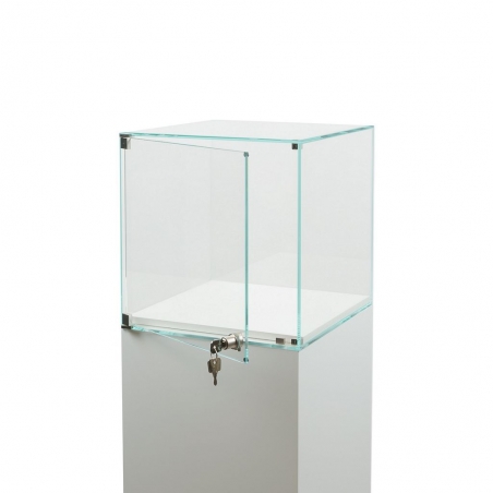 Glass Display Case with a Door