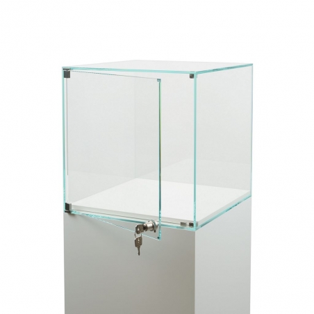 Glass Display Case with a Door