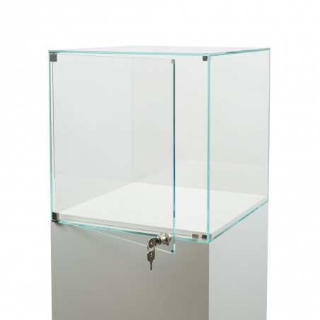 Glass Display Case with a Door