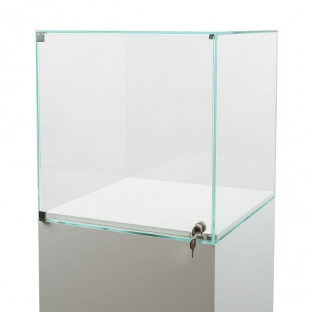 Glass Display Case with a Door