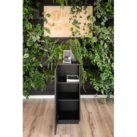 Black Oak Veneer Cabinet plinth