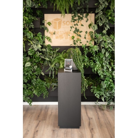 Black Oak Veneer Cabinet plinth