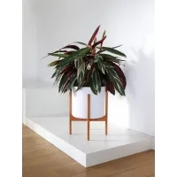 Solits Plinth White
