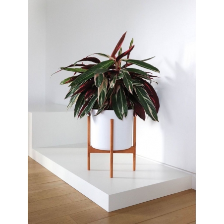 Solits Plinth White