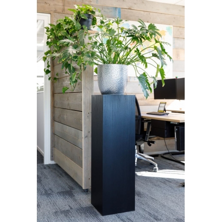 Black Oak Veneer Plinth
