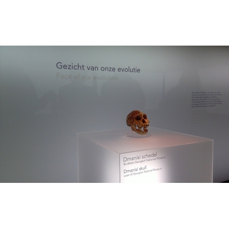 Acrylic plinth | perspex exhibition pedestal and displays
