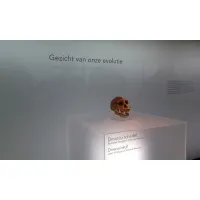Acrylic plinth | perspex exhibition pedestal and displays