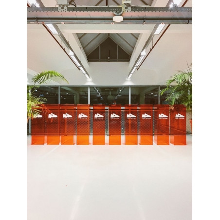 Acrylic Plinth Acrylic Plinth