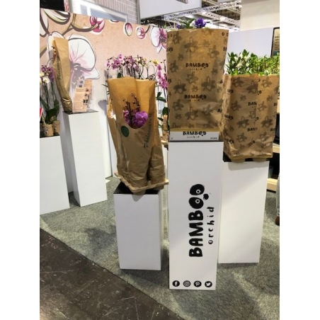 cardboard plinth white