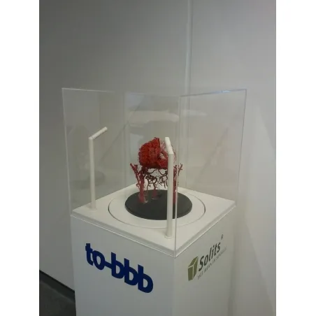 plinth with rotating platform