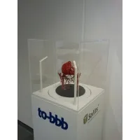 plinth with rotating platform