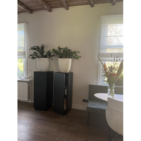 Black Oak Veneer Cabinet plinth