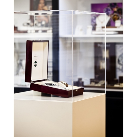 Acrylic Display Case