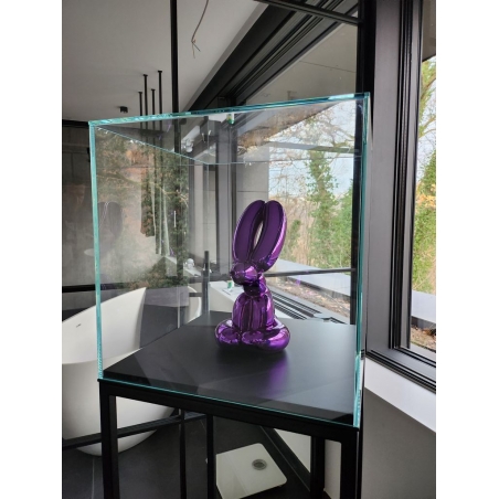 Glass Display Case Glass Display Case