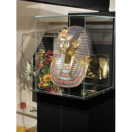 Glass Display Case