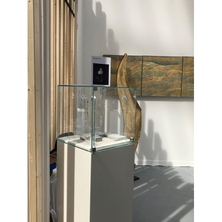 Glass Display Case with a Door