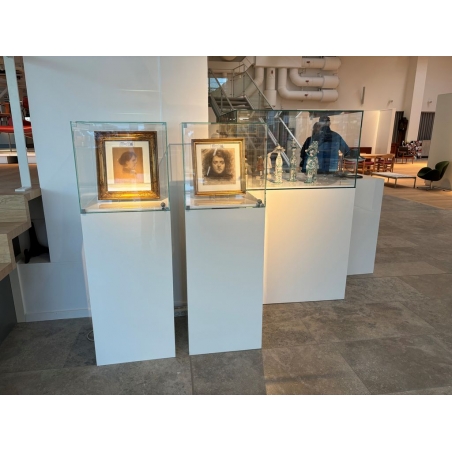 Glass Display Case with a Door