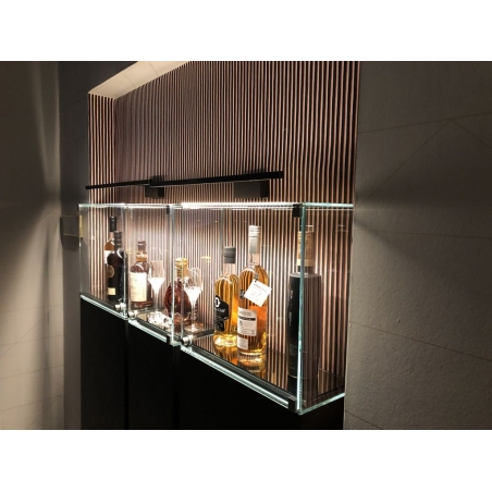 Glass Display Case with a Door