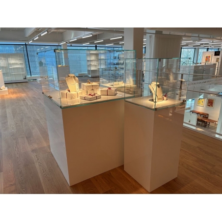 Glass Display Case with a Door