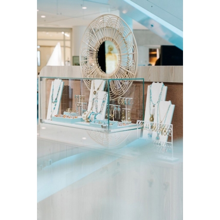 Glass Display Case with a Door