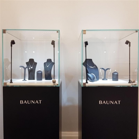Glass Display Case with a Door