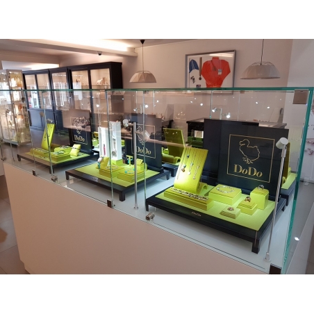 Glass Display Case with a Door