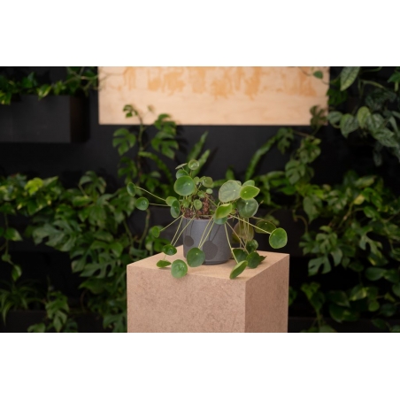 Plain MDF pedestal | exhition plinth unpainted
