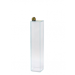 Glass Plinth